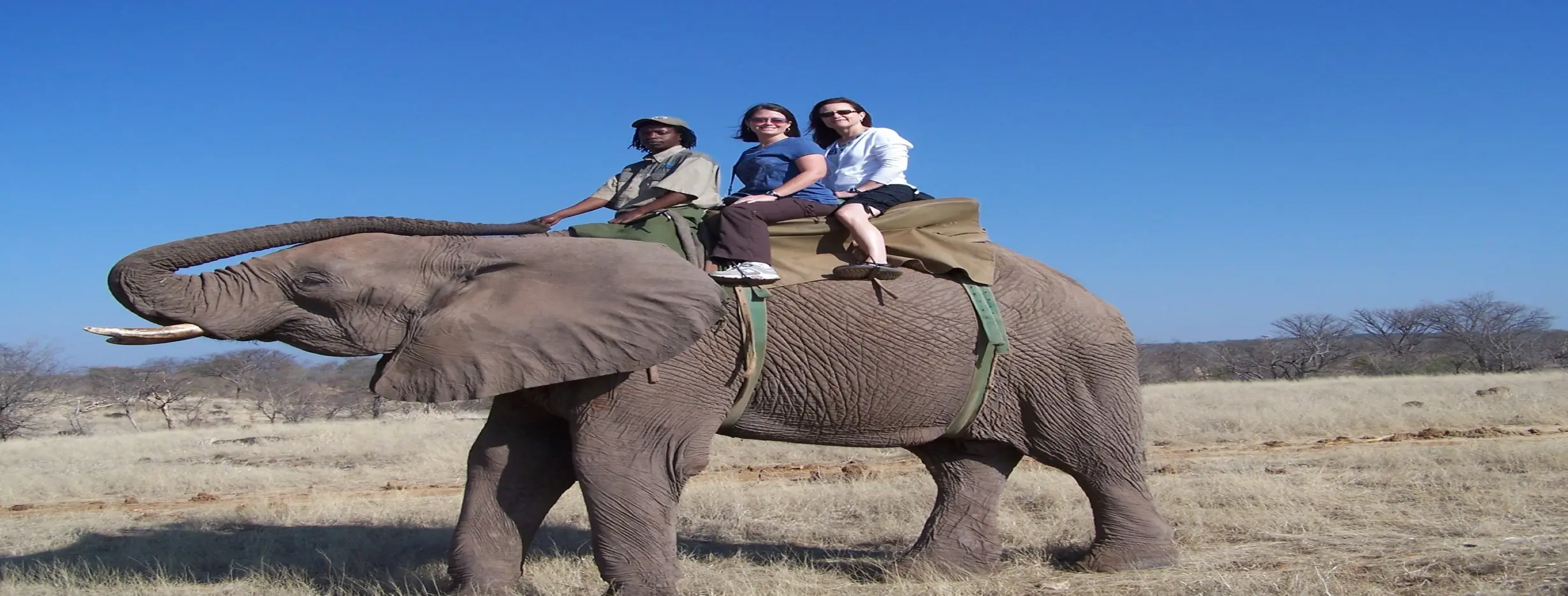 Image for Elephant Ride